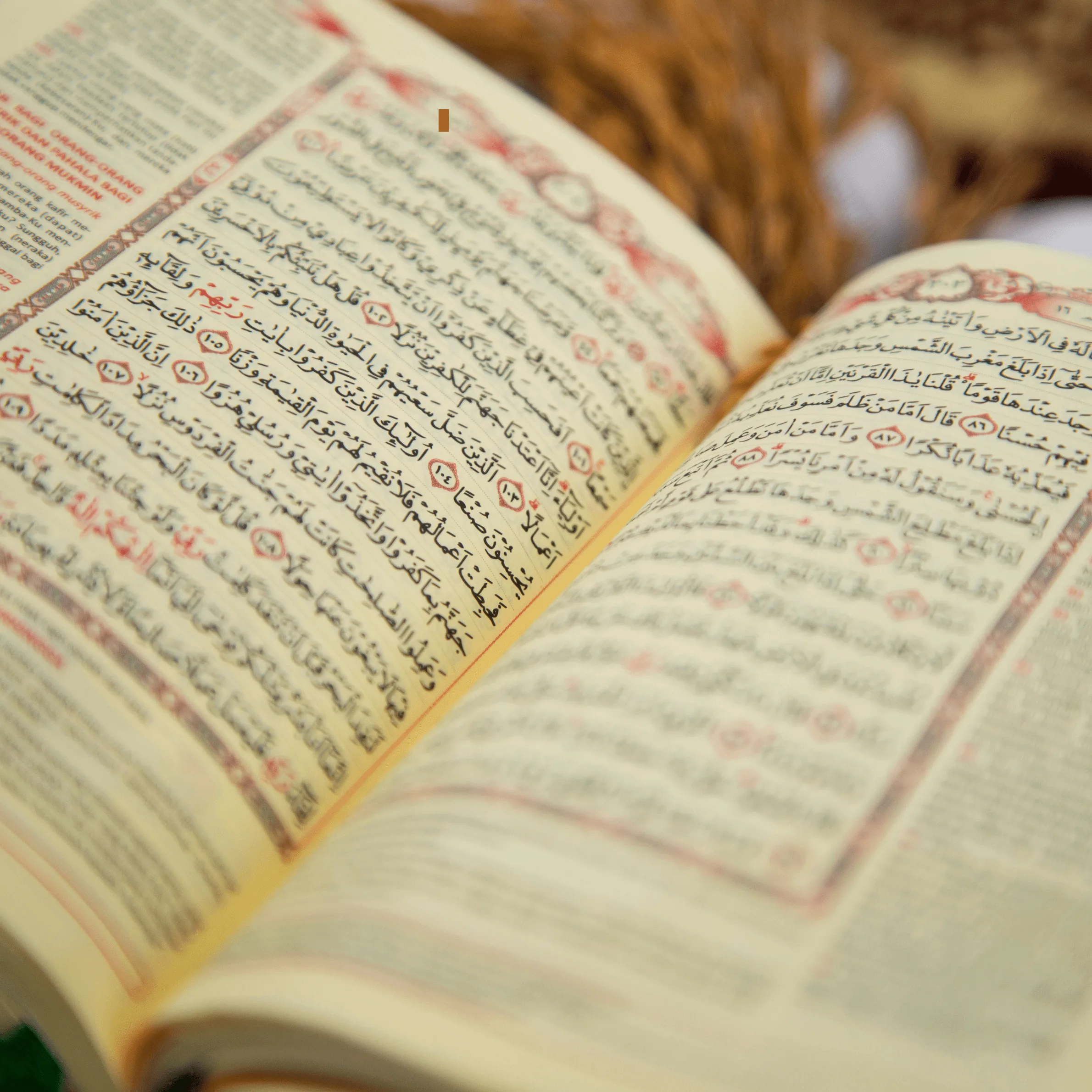 Home 8 Opened Quran With Translation