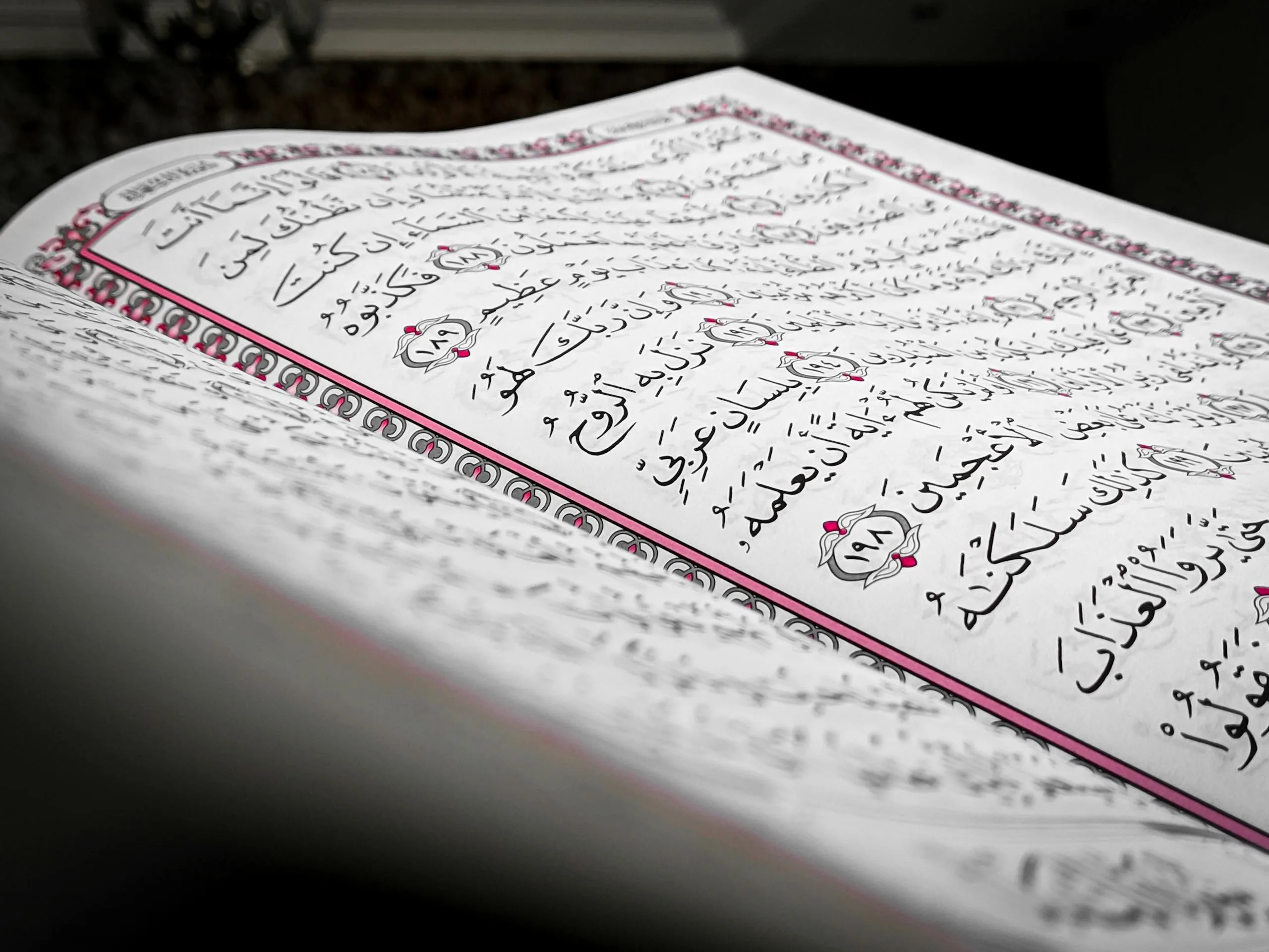 Home 3 Detailed close-up of an open book showcasing Arabic script, featuring ornamental design and elegant calligraphy.