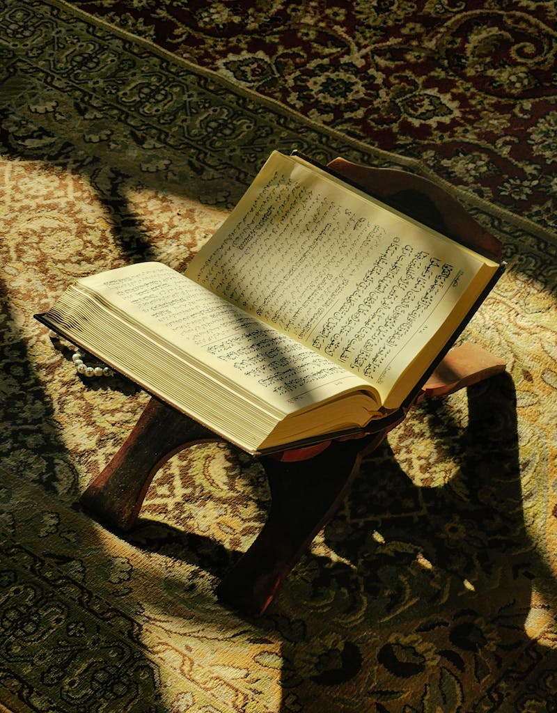 Quran Tafseer Online Classes 2 An open Quran placed on a wooden stand, bathed in warm sunlight, on a decorative rug.
