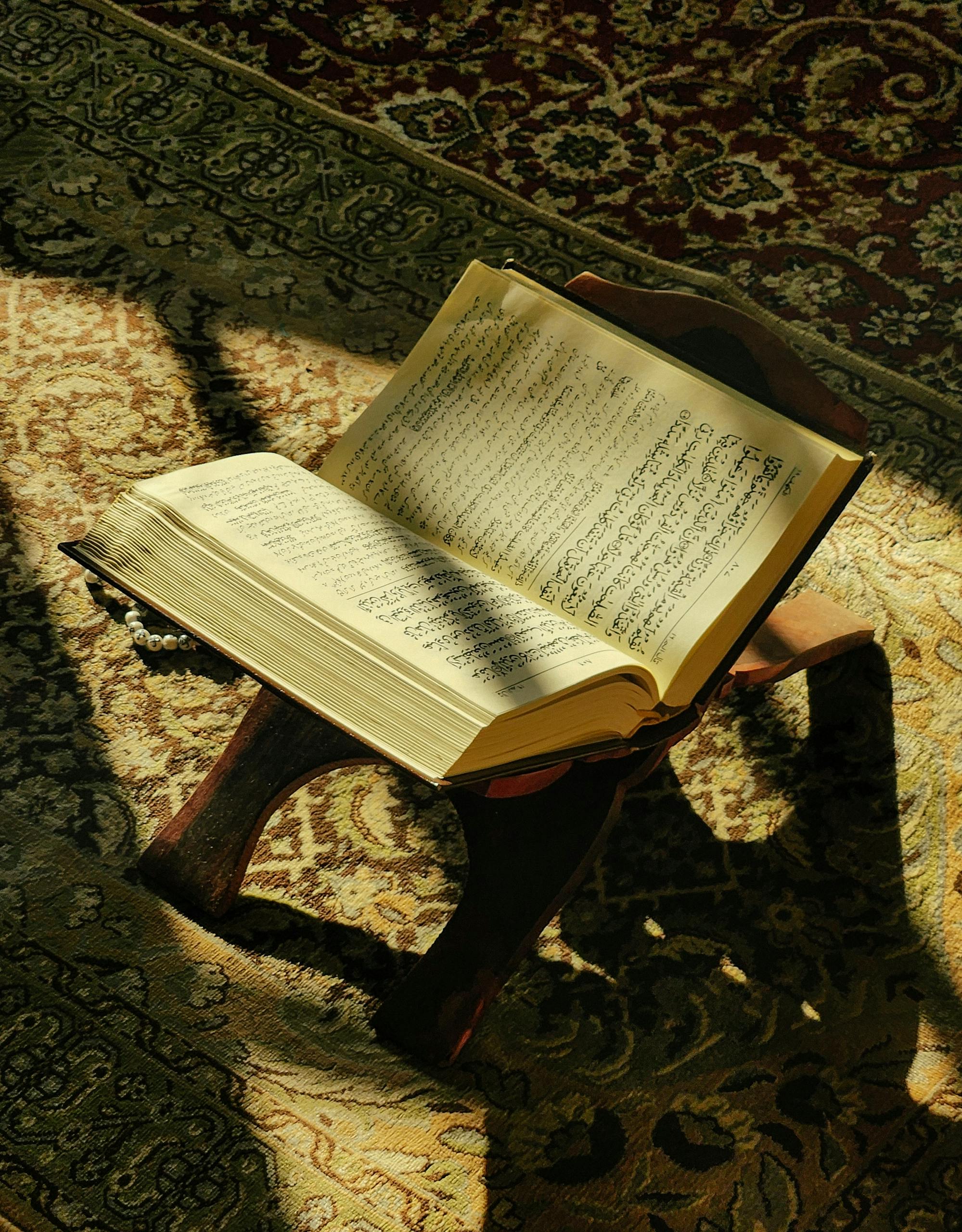 Tajweed Course Online – Improve Quran Recitation with Ease 1 An open Quran placed on a wooden stand, bathed in warm sunlight, on a decorative rug.